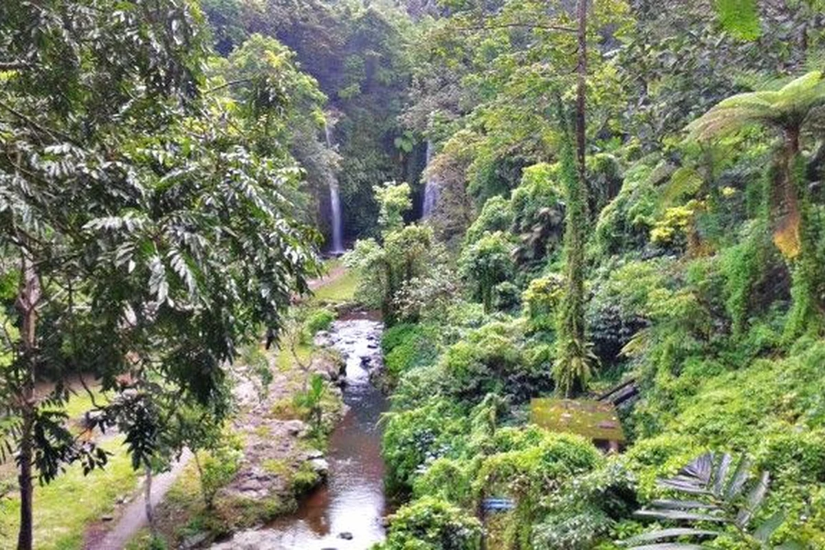 Air Terjun Benang Stokel