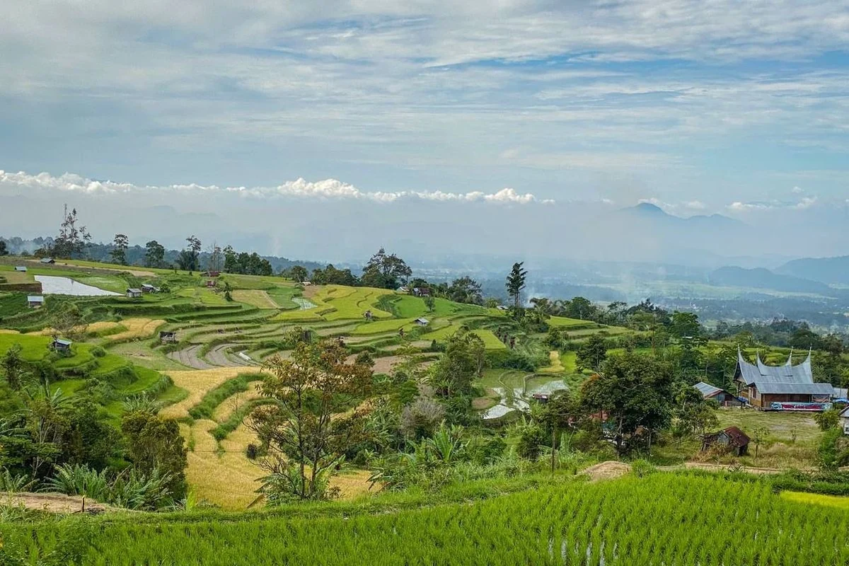 Peralatan Pertanian di Puyung